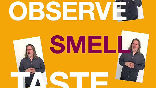 Observe, Smell, Taste!